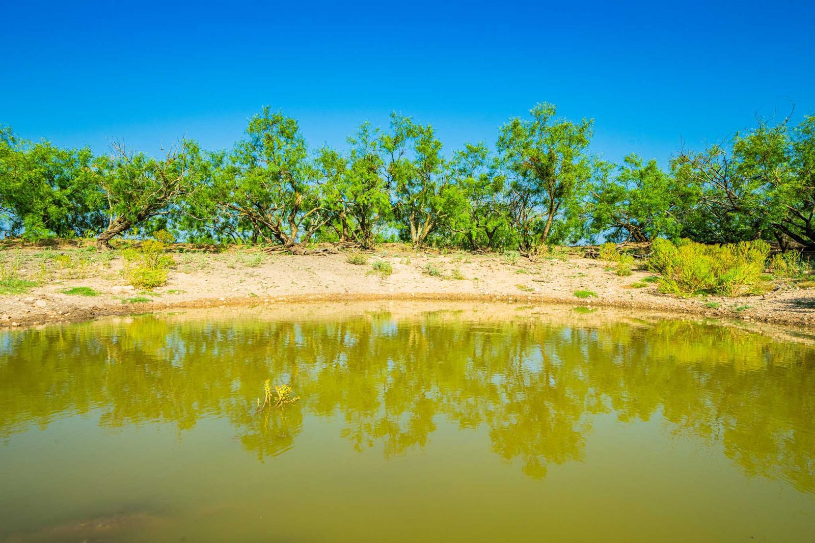 Menard County Twin Oaks Ranch S of Menard Texas Ranches For Sale